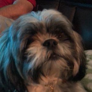 Meet your Posher, Ruth